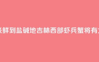(乡村行·看振兴)“鲜”到盐碱地 吉林西部“虾兵蟹将”有大作为