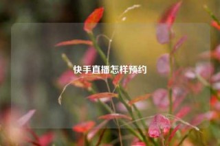 快手直播怎样预约