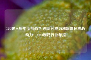 75%收入集中头部药企 创新药成为利润增长核心动力 | 2024制药行业年报