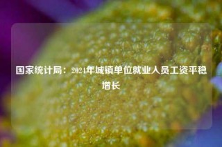 国家统计局：2024年城镇单位就业人员工资平稳增长