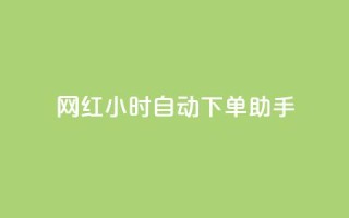 网红24小时自动下单助手 - qq自助平台全网最低