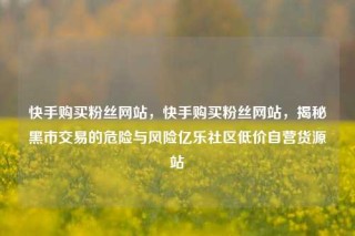 快手购买粉丝网站，快手购买粉丝网站，揭秘黑市交易的危险与风险亿乐社区低价自营货源站