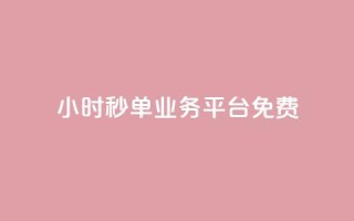 24小时秒单业务平台免费 - 免费体验全天秒单业务平台，24小时一键下单~