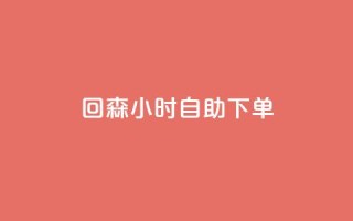 回森24小时自助下单 - 全网账号批发