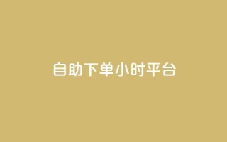自助下单24小时平台ks - 全天候自助下单平台KS助您轻松购物~