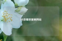 抖音播放量刷网站