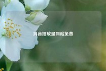 抖音播放量网站免费
