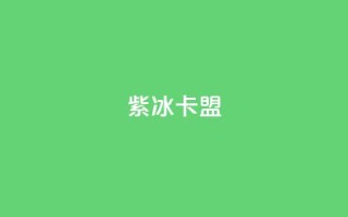 紫冰卡盟 - 紫冰卡盟:一站式SEO服务平台~