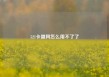 521卡盟网怎么用不了了
