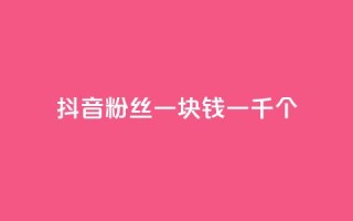 抖音粉丝一块钱一千个 - 抖音粉丝仅需一元获取千人关注秘诀揭秘!