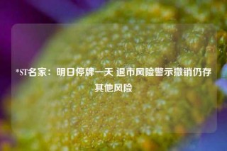 *ST名家：明日停牌一天 退市风险警示撤销仍存其他风险