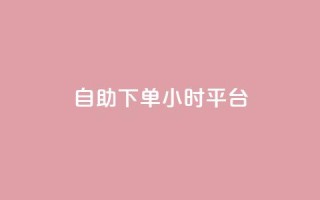 自助下单24小时平台,卡盟973 - pdd助力平台 - 金铲铲