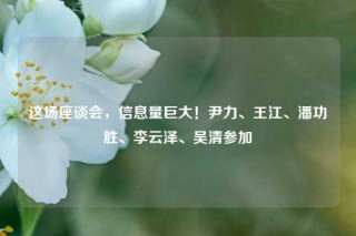 这场座谈会，信息量巨大！尹力、王江、潘功胜、李云泽、吴清参加
