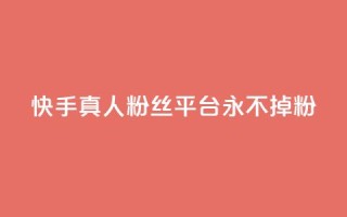 快手真人粉丝平台 永不掉粉,快手在线下单平台全网最低价 - 抖音刷1000粉入口 - 全网最便宜卡盟