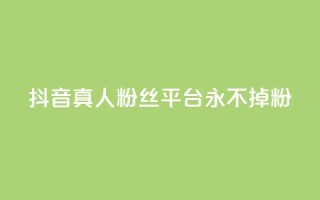 抖音真人粉丝平台 永不掉粉,24小时在线下单商城 - pdd助力平台 - 拼多多多久才算老用户回归