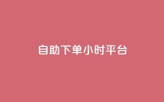 自助下单24小时平台ks - ks平台24小时自助下单，轻松选购~