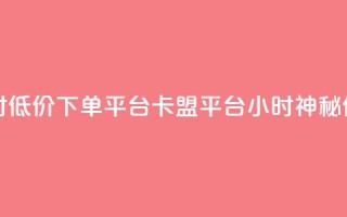 卡盟24小时低价下单平台(卡盟平台24小时神秘低价下单)