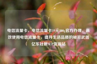 电信流量卡,电信流量卡19元200g官方办理,高效使用电信流量卡,提升生活品质的秘密武器亿乐社区SUP货源站