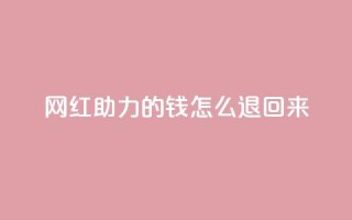 网红助力的钱怎么退回来 - 网红助力的资金如何合法追回攻略!