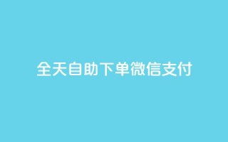 ks全天自助下单微信支付,nap6科技网下载 - 抖音24小时自助业务下单注意事项 - 网红商城快手业务
