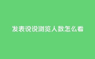 qq发表说说浏览人数怎么看 - 如何准确评估QQ说说浏览人数~