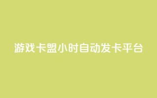 游戏卡盟24小时自动发卡平台 - 24小时自动发卡,游戏卡盟平台全新升级!