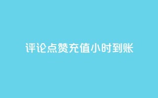 dy评论点赞充值24小时到账 - 24小时内充值点赞评论,立即到账~