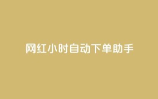 网红24小时自动下单助手,天创卡盟 - qq空间说说访问量 - QQ业务自助网
