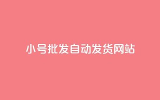 dy小号批发自动发货网站 - dy小号批发自动发货平台推荐~