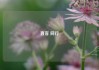 直客 同行