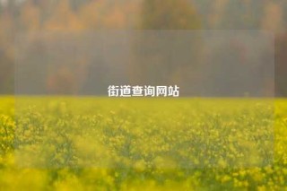 街道查询网站