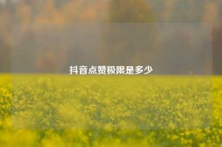 抖音点赞极限是多少