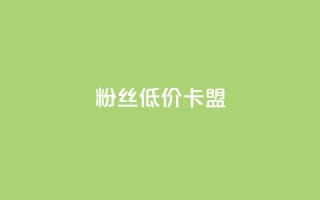 dy粉丝低价卡盟 - 重磅推荐：dy粉丝卡盟亲民价！~