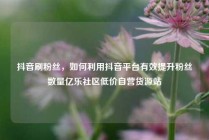 抖音刷粉丝，如何利用抖音平台有效提升粉丝数量亿乐社区低价自营货源站