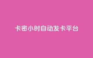 卡密24小时自动发卡平台 - 24小时自动发卡平台，全新卡密服务，快速便捷！~