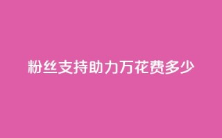粉丝支持助力 100万,花费多少?