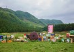 四川雷波县的“两山”转化之路：让村民成为绿水青山的合伙人