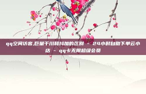 qq空间访客,巨量千川和抖加的区别 - 24小时自助下单云小店 qq卡无限超级会员  第1张