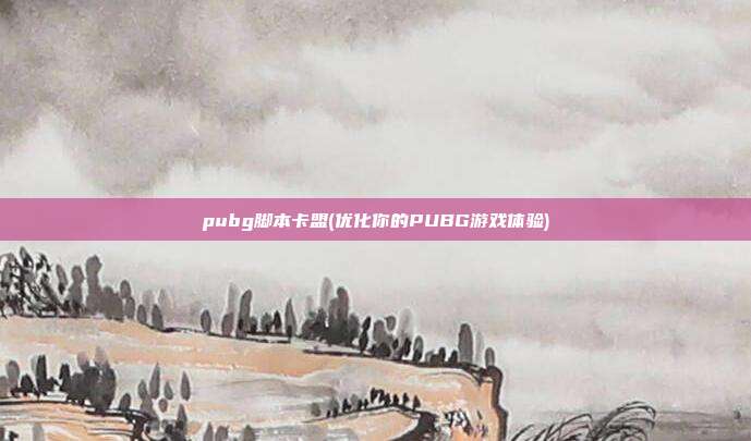 pubg脚本卡盟(优化你的PUBG游戏体验)  第1张