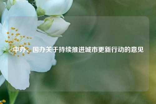 中办、国办关于持续推进城市更新行动的意见  第1张