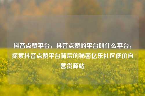 抖音点赞平台，抖音点赞的平台叫什么平台，探索抖音点赞平台背后的秘密亿乐社区低价自营货源站  第1张