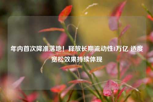 年内首次降准落地!释放长期流动性1万亿 适度宽松效果持续体现  第1张 年内首次降准落地!释放长期流动性1万亿 适度宽松效果持续体现  第1张
