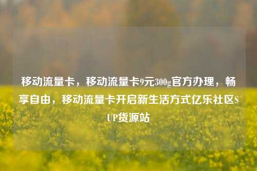 移动流量卡，移动流量卡9元300g官方办理	，畅享自由，移动流量卡开启新生活方式亿乐社区SUP货源站  第1张