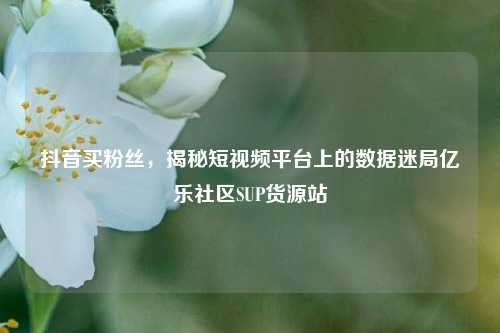 抖音买粉丝，揭秘短视频平台上的数据迷局亿乐社区SUP货源站  第1张