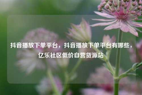 抖音播放下单平台，抖音播放下单平台有哪些，亿乐社区低价自营货源站  第1张
