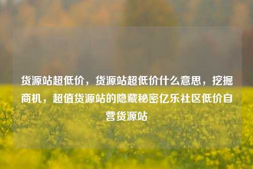货源站超低价，货源站超低价什么意思，挖掘商机，超值货源站的隐藏秘密亿乐社区低价自营货源站  第1张