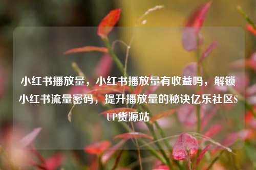 小红书播放量，小红书播放量有收益吗，解锁小红书流量密码，提升播放量的秘诀亿乐社区SUP货源站  第1张