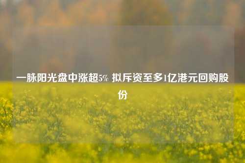 一脉阳光盘中涨超5% 拟斥资至多1亿港元回购股份  第1张 一脉阳光盘中涨超5% 拟斥资至多1亿港元回购股份  第1张