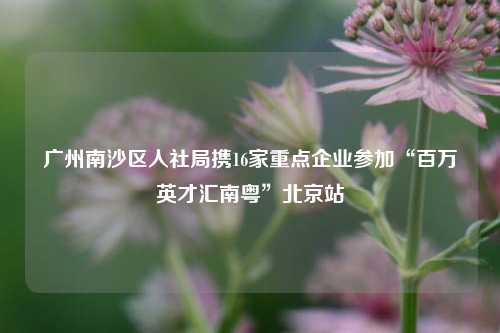 广州南沙区人社局携16家重点企业参加“百万英才汇南粤”北京站  第1张
