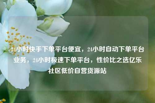 24小时快手下单平台便宜，24小时自动下单平台业务	，24小时极速下单平台，性价比之选亿乐社区低价自营货源站  第1张